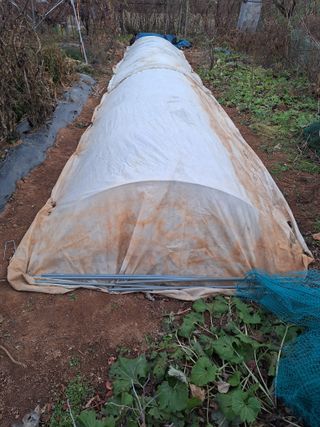 김용환님의 자유주제 · 자유게시판 작성글 사진