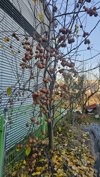 강병천님의 자유주제 · 자유게시판 작성글 사진