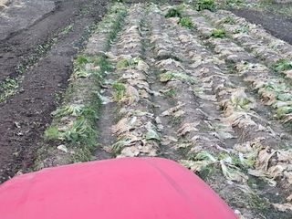 백용기님의 자유주제 · 자유게시판 작성글 사진