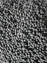 팜모닝 자유주제·자유게시판 게시글 이미지