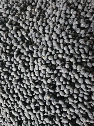 백용기님의 자유주제 · 자유게시판 작성글 사진