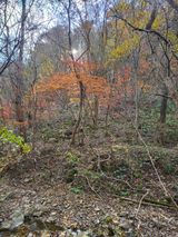 팜모닝 자유주제·자유게시판 게시글 이미지