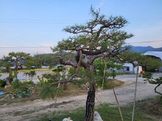 정수광님의 자유주제 · 자유게시판 작성글 사진