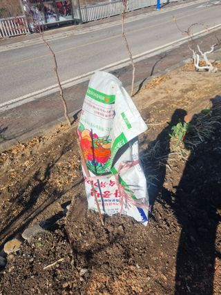 김용대님의 자유주제 · 자유게시판 작성글 사진