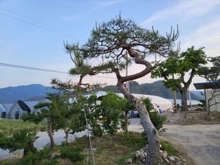 정수광님의 자유주제 · 자유게시판 작성글 사진