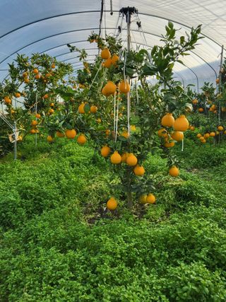 손기백님의 자유주제 · 사진전 작성글 사진