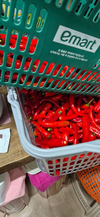 봉림동 태진농장님의 자유주제 · 자유게시판 작성글 사진