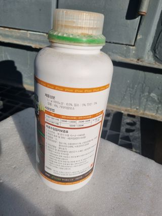 박진규님의 자유주제 · 자유게시판 작성글 사진