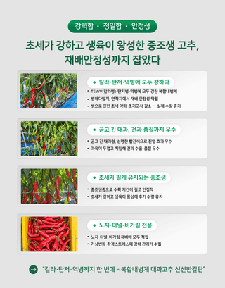 대산농사대장님의 작성글 사진