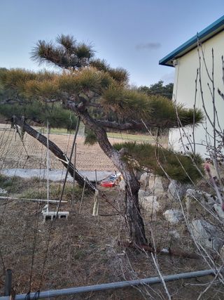 정수광님의 자유주제 · 자유게시판 작성글 사진