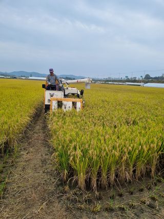 장례지도사1급님의 작성글 사진