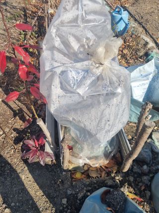 김용대님의 자유주제 · 자유게시판 작성글 사진