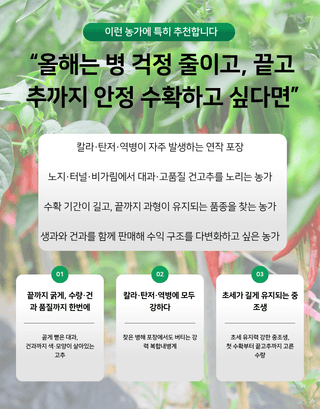 대산농사대장님의 작성글 사진