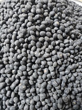 백용기님의 자유주제 · 자유게시판 작성글 사진