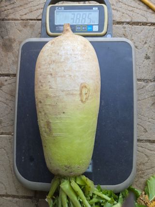 退役軍人 劉永喆님의 자유주제 · 자유게시판 작성글 사진