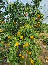 팜모닝 자유주제·사진전 게시글 이미지