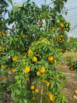 손기백님의 자유주제 · 사진전 작성글 사진