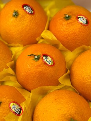 농부손녀님의 작성글 사진