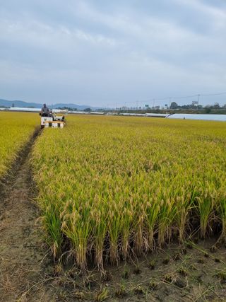장례지도사1급님의 작성글 사진