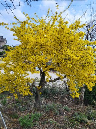정수광님의 자유주제 · 자유게시판 작성글 사진