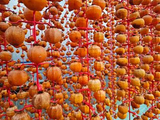 백용기님의 자유주제 · 자유게시판 작성글 사진