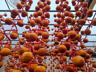 백용기님의 자유주제 · 자유게시판 작성글 사진