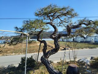 정수광님의 자유주제 · 자유게시판 작성글 사진