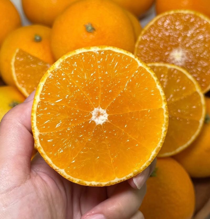 장터 상품 [새콤달콤한 맛 황금향 3kg 4.5kg 9kg ] 썸네일