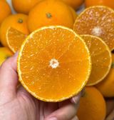 팜모닝 · 게시글 이미지