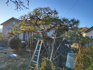 정수광님의 자유주제 · 자유게시판 작성글 사진