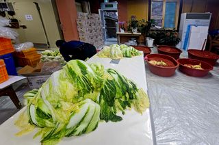 박¿일님의 자유주제 · 자유게시판 작성글 사진