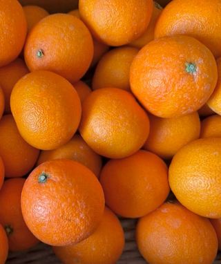 농부손녀님의 작성글 사진