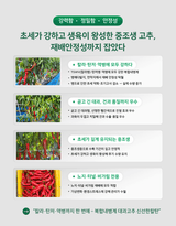 대산농사대장님의 고추·품종•종자 작성글 사진