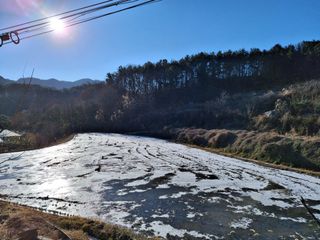 MSG0074님의 자유주제 · 자유게시판 작성글 사진