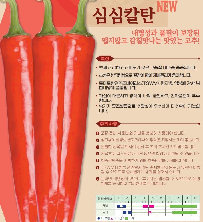 씨앗드림님의 장터 판매 상품 [아시아종묘 심심칼탄 1200립 복합내병계 대과종 중조생종] 첨부 사진