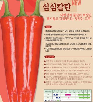 씨앗드림님의 작성글 사진