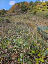 팜모닝 · 게시글 이미지