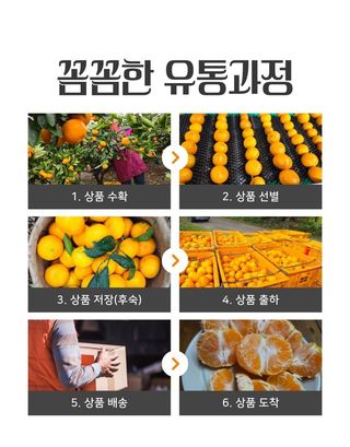 새달귤농장님의 작성글 사진