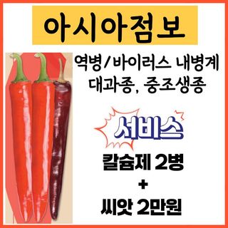 씨앗드림님의 작성글 사진