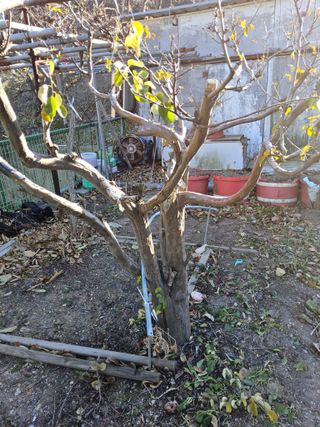 김용대님의 자유주제 · 자유게시판 작성글 사진