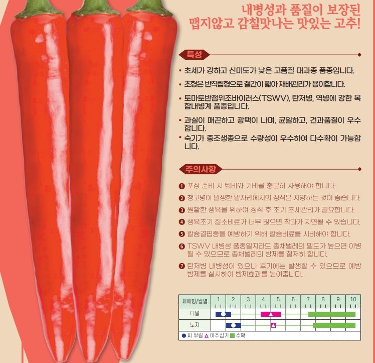 씨앗드림님의 장터 판매 상품 [아시아종묘 신미제로 1200립 복합내병계 중조생 대과종] 첨부 사진