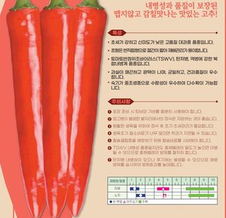 씨앗드림님의 작성글 사진