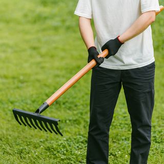 유니즈님의 작성글 사진