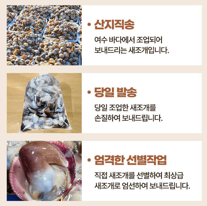 스피드번님의 장터 판매 상품 [여수 검정새조개] 첨부 사진