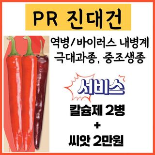 씨앗드림님의 작성글 사진