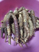 팜모닝 자유주제·자유게시판 게시글 이미지