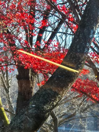 김상진님의 자유주제 · 자유게시판 작성글 사진