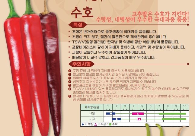 씨앗드림님의 장터 판매 상품 [아시아종묘 수호 1200립 복합내병계 극대과 중조생] 첨부 사진