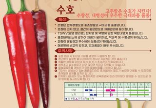 씨앗드림님의 작성글 사진