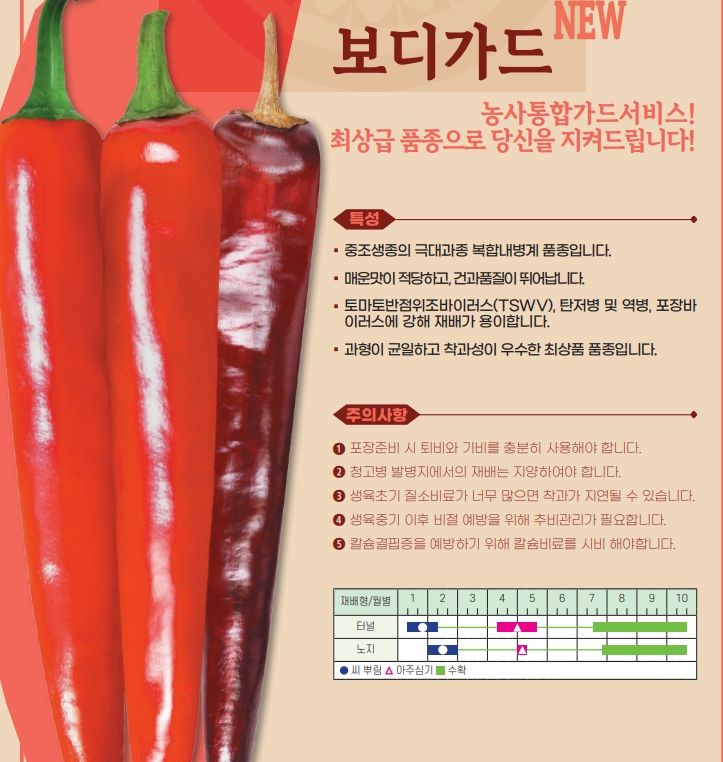 씨앗드림님의 장터 판매 상품 [아시아종묘 보디가드 1200립 복합내병계 극대과 중조생종] 첨부 사진